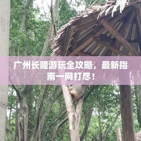 广州长隆游玩全攻略，最新指南一网打尽！