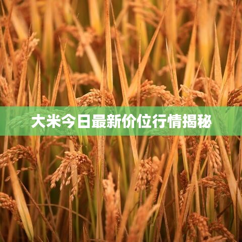 2025年4月 第137页