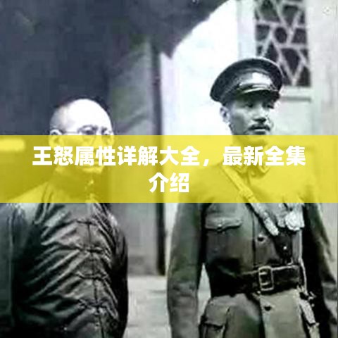 王怒属性详解大全，最新全集介绍