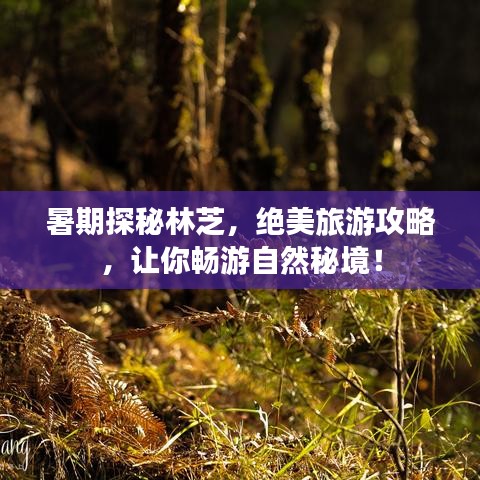 暑期探秘林芝，绝美旅游攻略，让你畅游自然秘境！