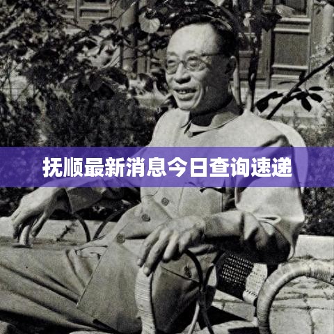 抚顺最新消息今日查询速递