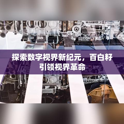 探索数字视界新纪元，百白籽引领视界革命