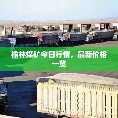 榆林煤矿今日行情，最新价格一览