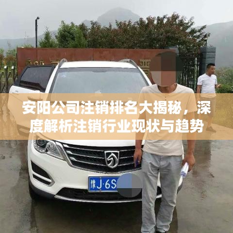 安阳公司注销排名大揭秘，深度解析注销行业现状与趋势