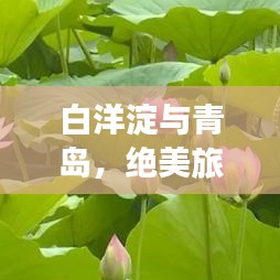 炙手可热