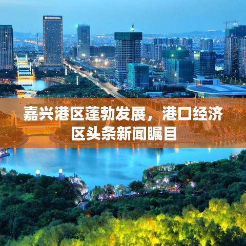 嘉兴港区蓬勃发展，港口经济区头条新闻瞩目