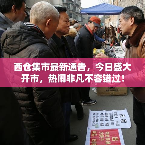 西仓集市最新通告，今日盛大开市，热闹非凡不容错过！
