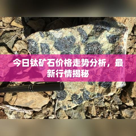 今日钛矿石价格走势分析，最新行情揭秘