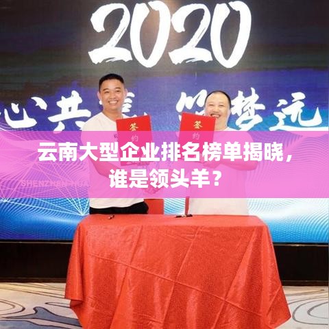云南大型企业排名榜单揭晓，谁是领头羊？
