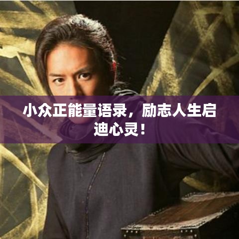 成功案例 第13页