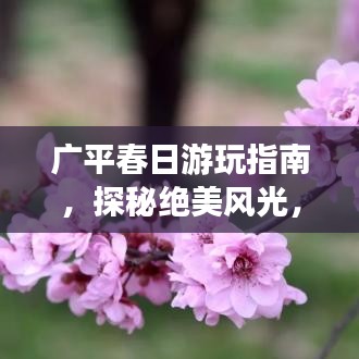 2025年5月10日 第4页