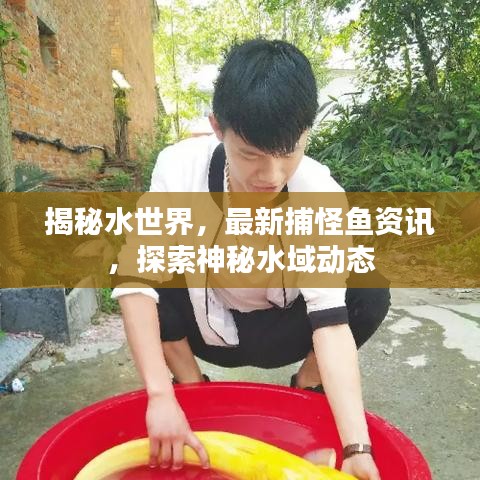 揭秘水世界，最新捕怪鱼资讯，探索神秘水域动态