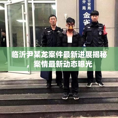 临沂尹某龙案件最新进展揭秘，案情最新动态曝光