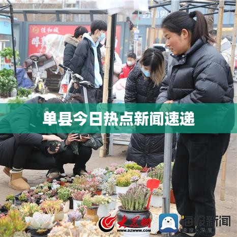 单县今日热点新闻速递