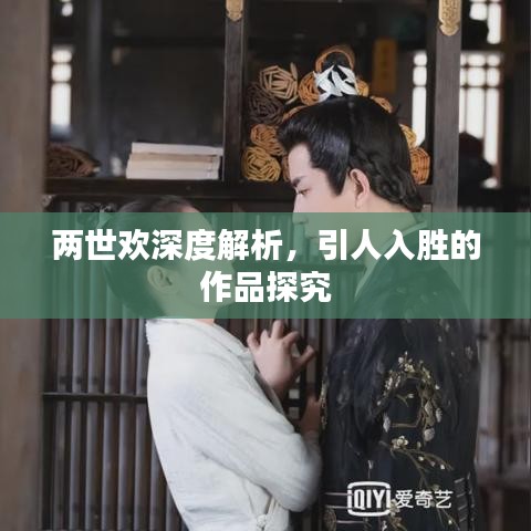 两世欢深度解析，引人入胜的作品探究