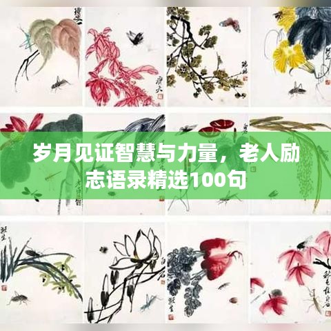 岁月见证智慧与力量，老人励志语录精选100句