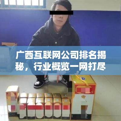 广西互联网公司排名揭秘，行业概览一网打尽