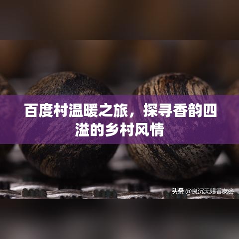 百度村温暖之旅，探寻香韵四溢的乡村风情