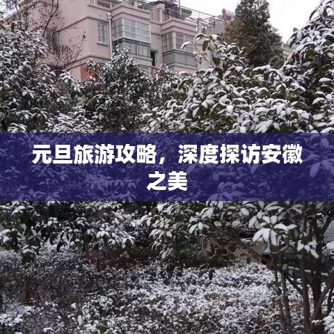 元旦旅游攻略，深度探访安徽之美