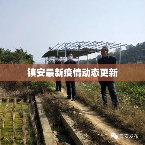 镇安最新疫情动态更新