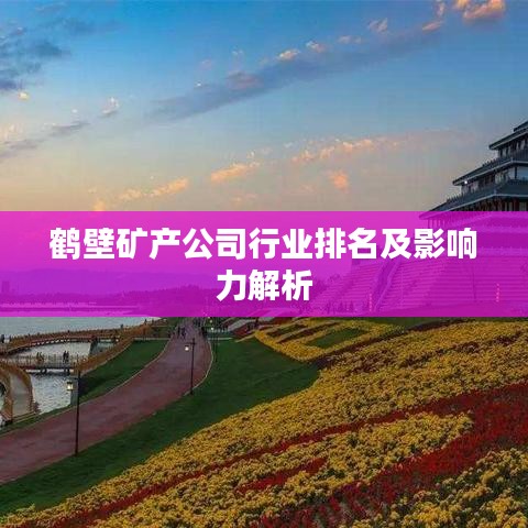 鹤壁矿产公司行业排名及影响力解析