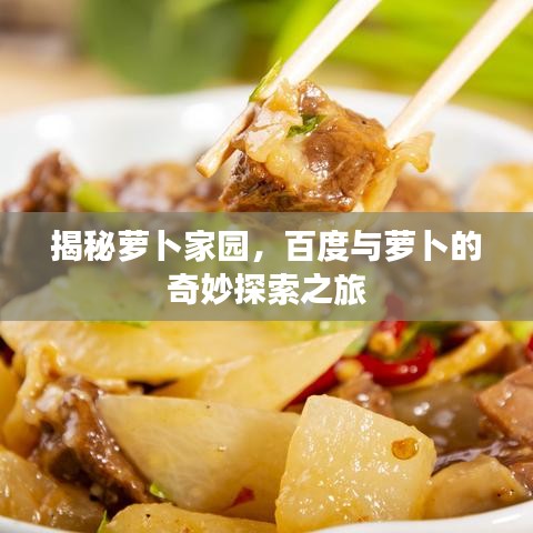 揭秘萝卜家园，百度与萝卜的奇妙探索之旅
