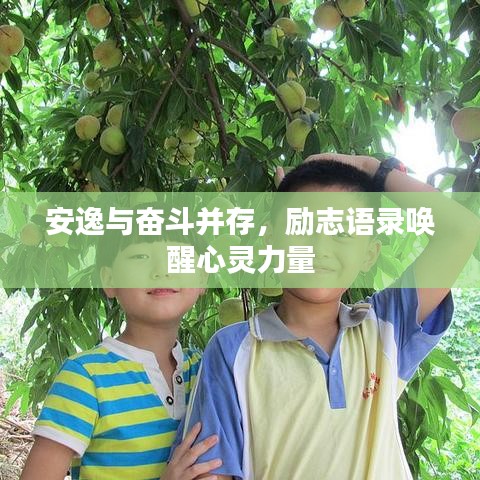 安逸与奋斗并存，励志语录唤醒心灵力量