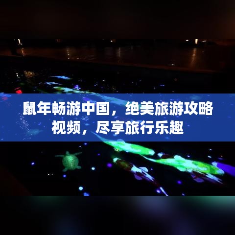 鼠年畅游中国，绝美旅游攻略视频，尽享旅行乐趣