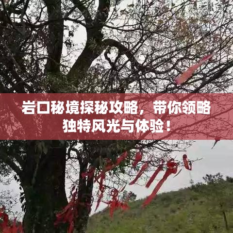 岩口秘境探秘攻略，带你领略独特风光与体验！