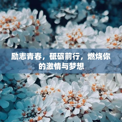 励志青春，砥砺前行，燃烧你的激情与梦想