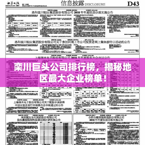栾川巨头公司排行榜，揭秘地区最大企业榜单！