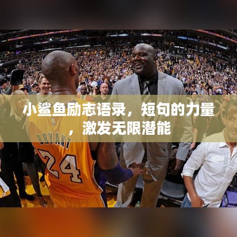 小鲨鱼励志语录，短句的力量，激发无限潜能
