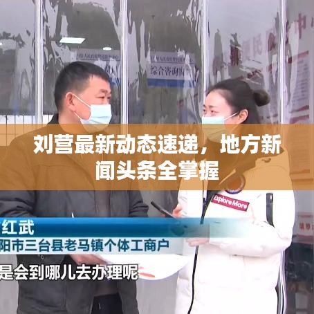 刘营最新动态速递，地方新闻头条全掌握