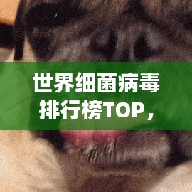 世界细菌病毒排行榜TOP，揭秘危害最大的病毒与细菌