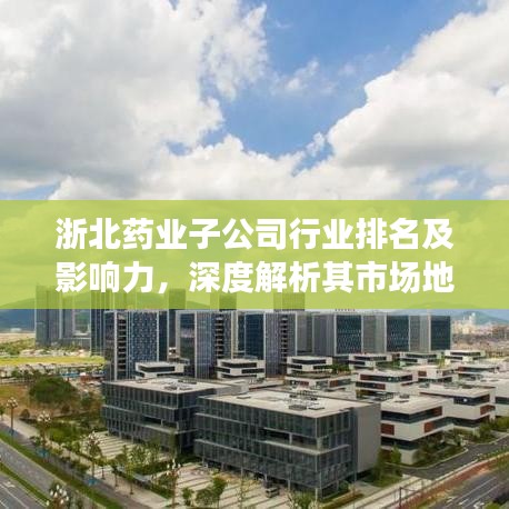 浙北药业子公司行业排名及影响力，深度解析其市场地位与影响力
