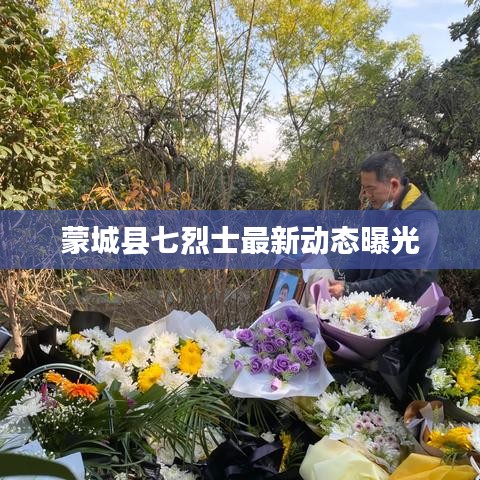 蒙城县七烈士最新动态曝光