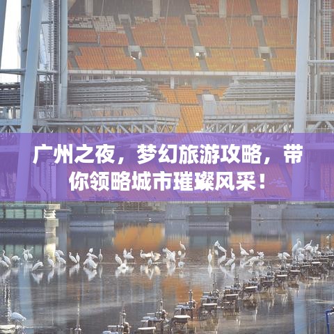 广州之夜，梦幻旅游攻略，带你领略城市璀璨风采！
