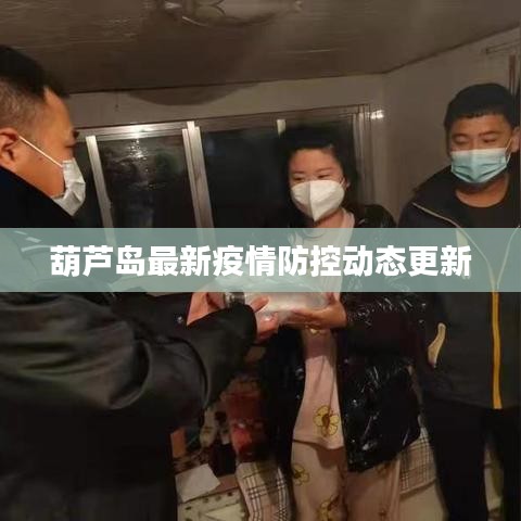 葫芦岛最新疫情防控动态更新