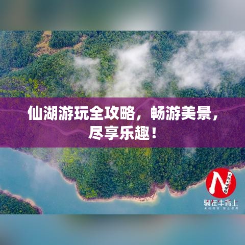仙湖游玩全攻略，畅游美景，尽享乐趣！