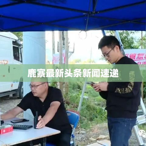 鹿寨最新头条新闻速递