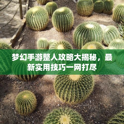 梦幻手游整人攻略大揭秘，最新实用技巧一网打尽
