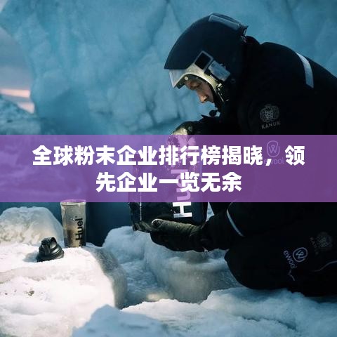 全球粉末企业排行榜揭晓，领先企业一览无余
