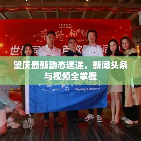 肇庆最新动态速递，新闻头条与视频全掌握