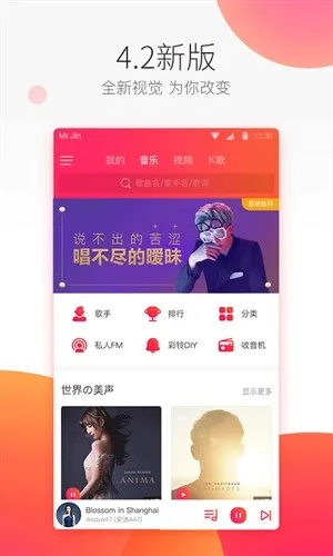 爱听4G版本,科学解析评估_DX版1_v9.138