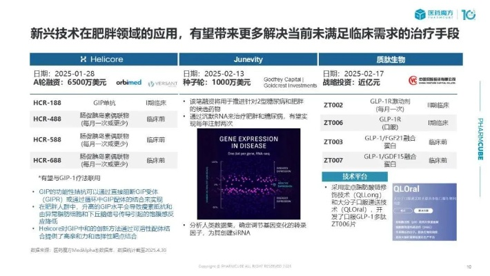 ygomobile官方下载,数据解析导向设计_娱乐版_v6.503
