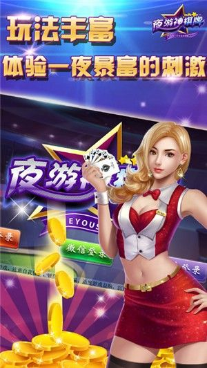 夜游神棋牌官方下载,数据支持执行策略_C版1_v5.619