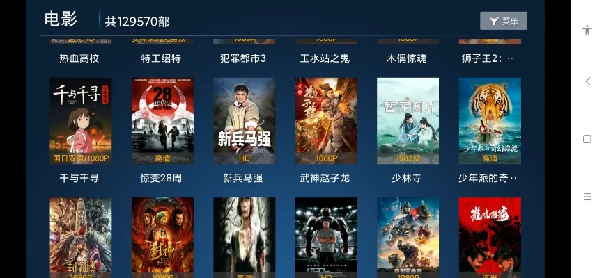 极速影视官方下载指南，如何安全获取PalmOS_v6.254版本并避免捆绑软件