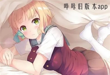 旧版本哔咔,专业解答执行_AP1_v3.193