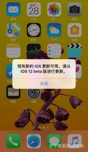 怎么降苹果系统版本,实践性执行计划 高级版_v6.388