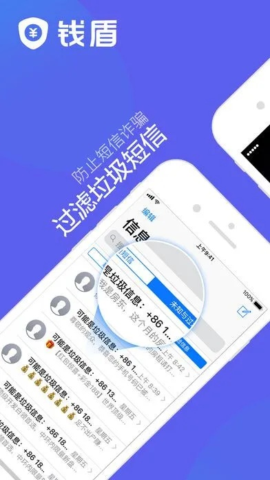 钱盾版本,重要性解析方法|复古版_v6.521